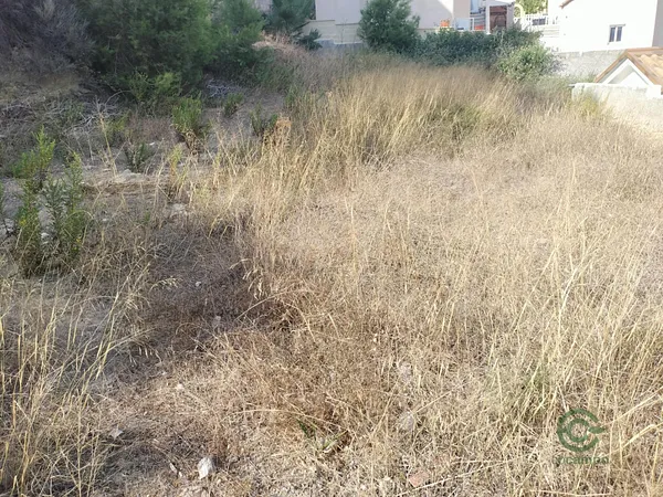 Spot image