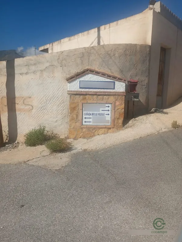 Spot image