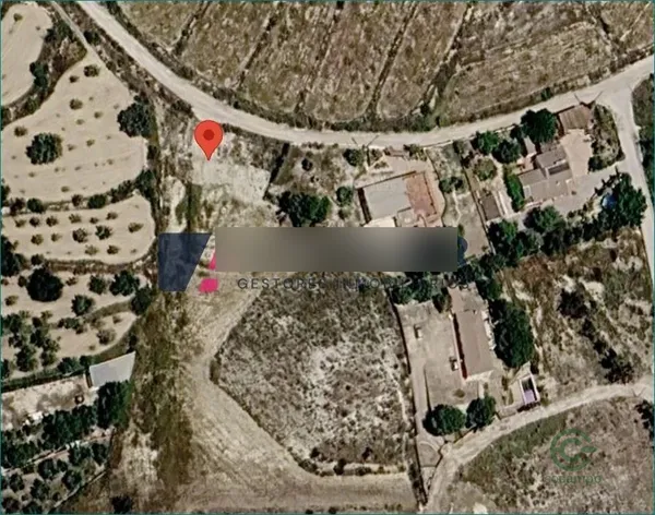 Spot image