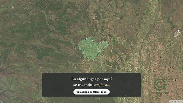 Spot image
