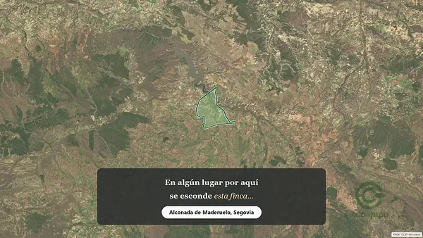 Spot image