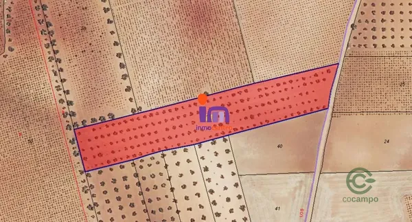 Spot image