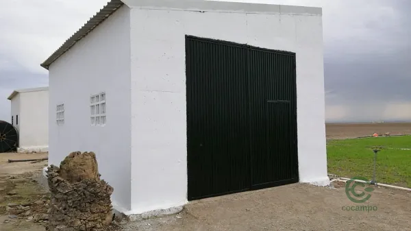 Spot image