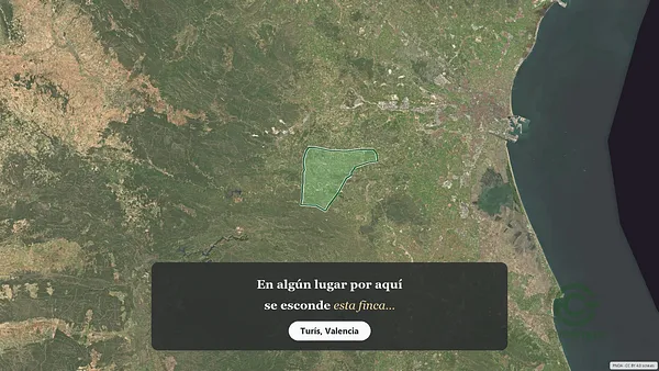 Spot image