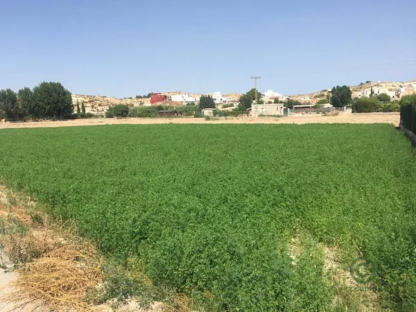 Finca agrícola de 0,1121 ha en venta en Molina de segura, Murcia