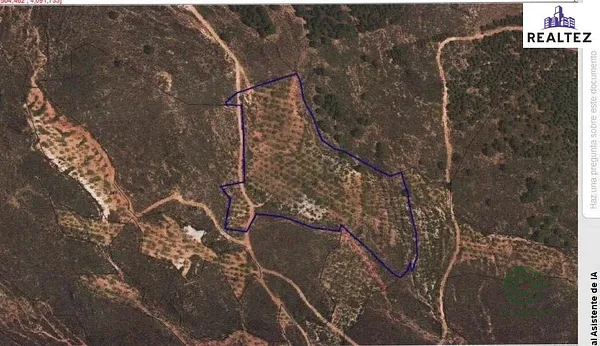 Spot image