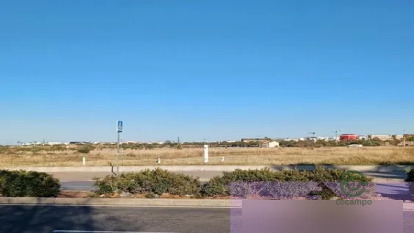 Spot image