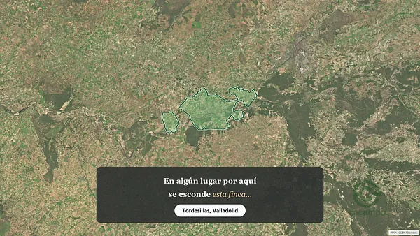 Spot image