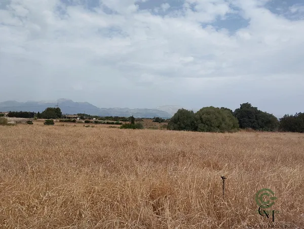Spot image