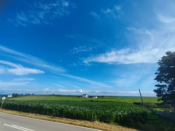 Terreno urbano de 0,181 ha en venta en Tapia de casariego, Asturias