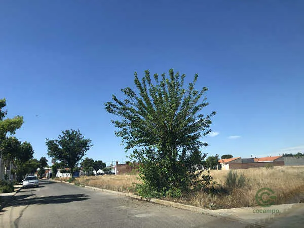 Finca rústica de 0 ha en venta en Alcázar de San Juan, Ciudad Real