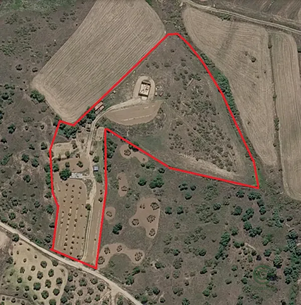 Spot image