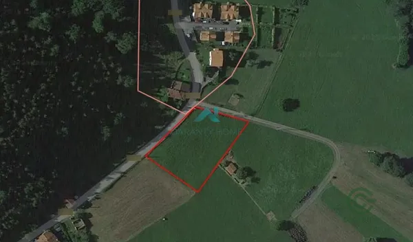 Spot image