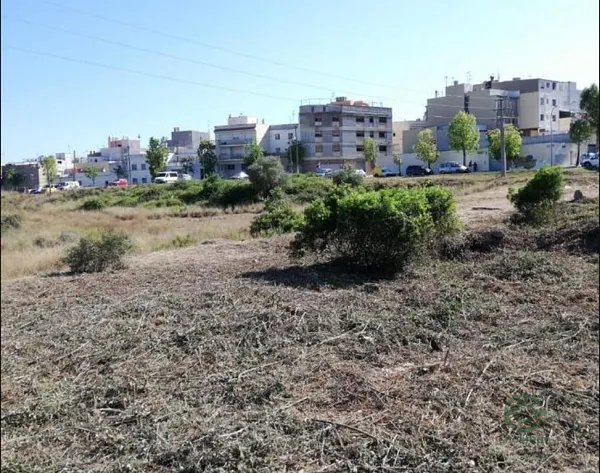 Spot image