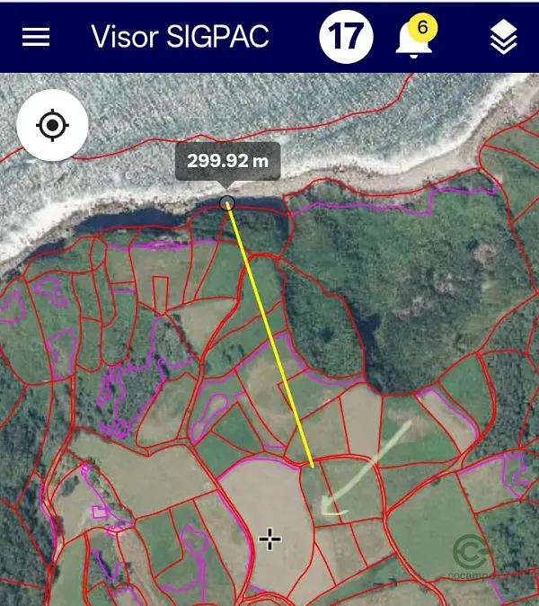 Spot image