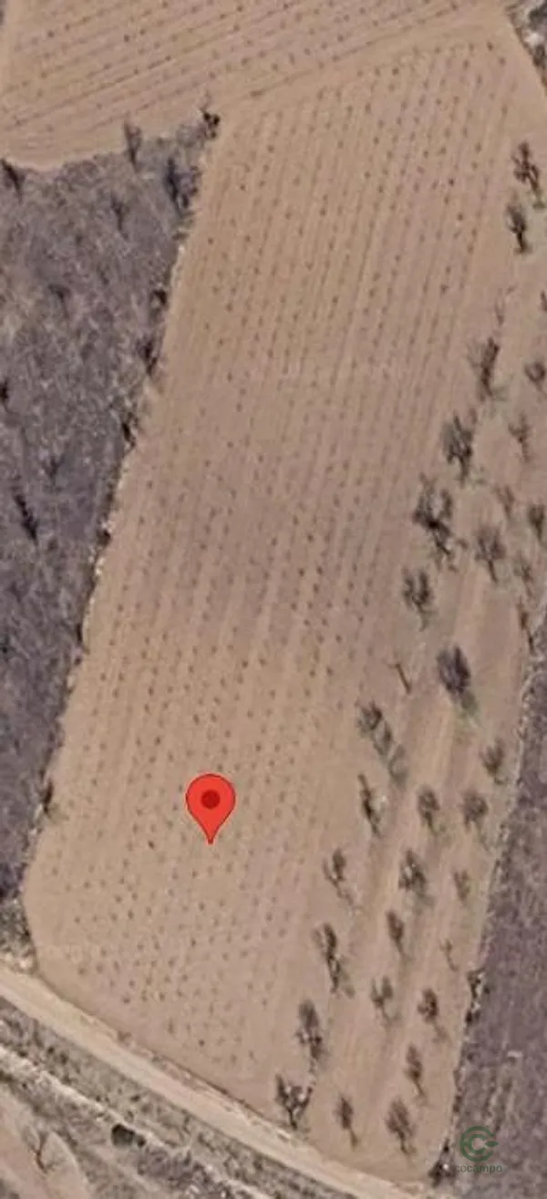 Spot image