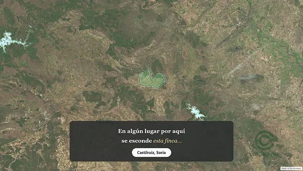 Spot image