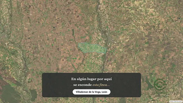 Spot image