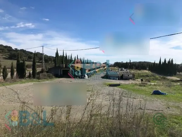 Spot image