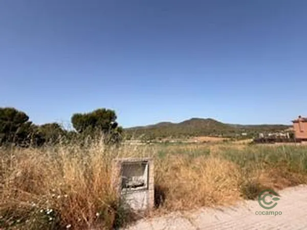 Spot image