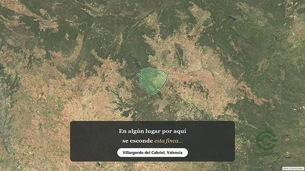 Spot image