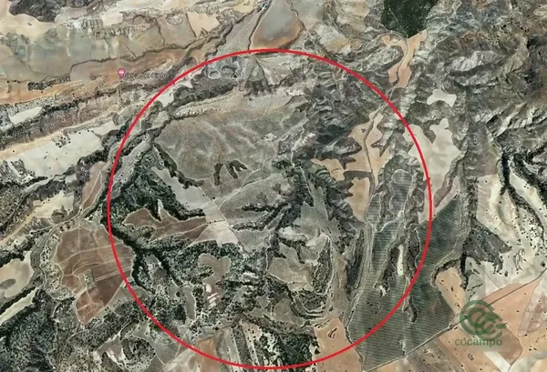 Spot image