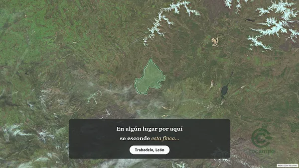 Spot image
