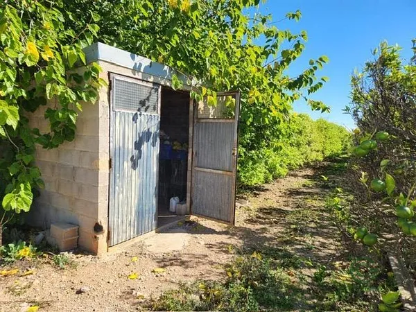 Finca agrícola de 2,1545 ha en venta en Santa barbara, Tarragona