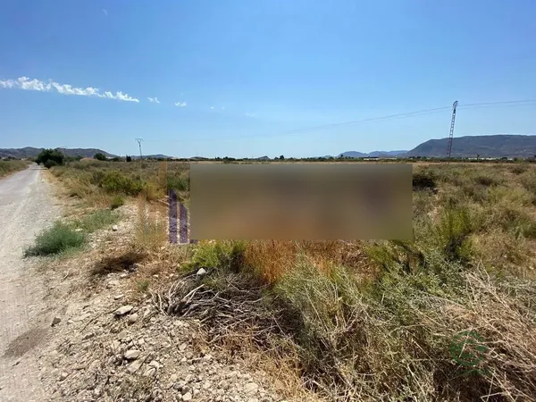 Spot image