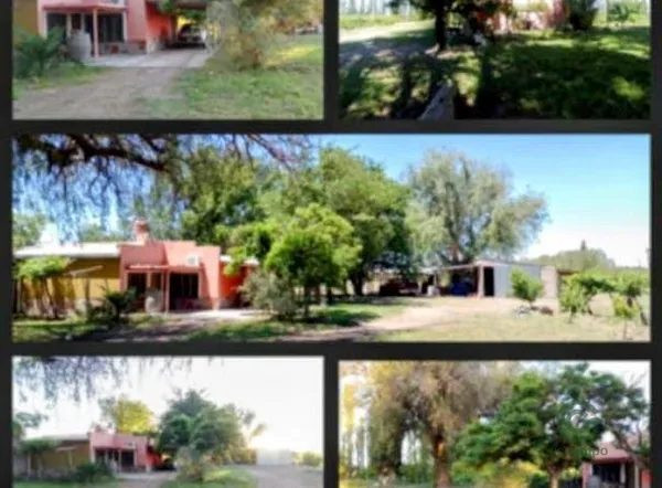 Finca rústica de 6 ha en venta en Mendoza