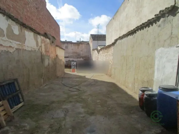 Spot image