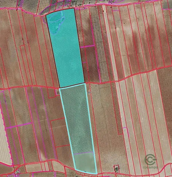 Spot image