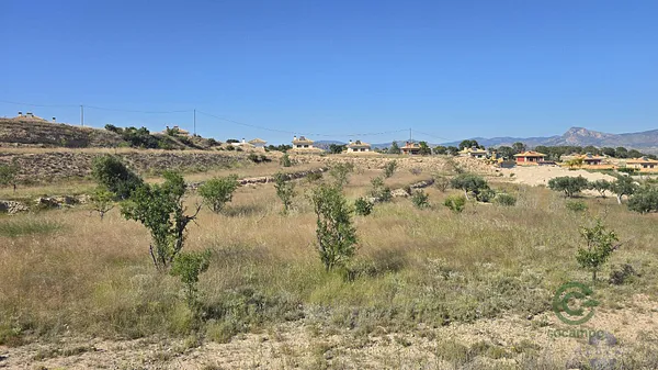 Spot image
