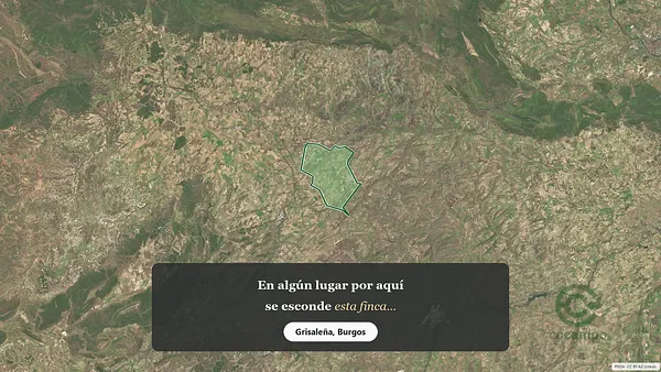 Spot image