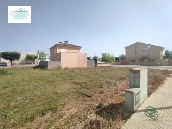 Spot image