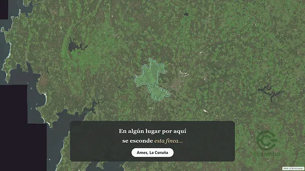 Spot image
