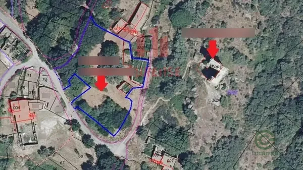 Spot image