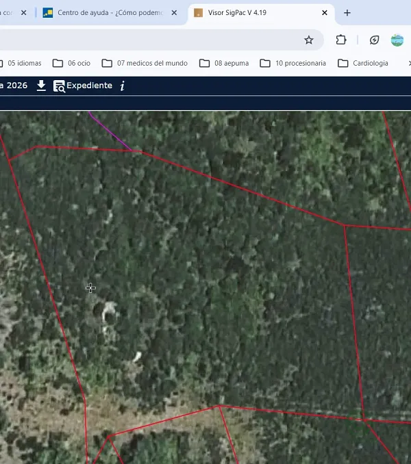 Spot image