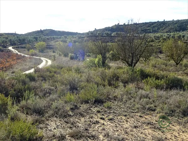 Spot image
