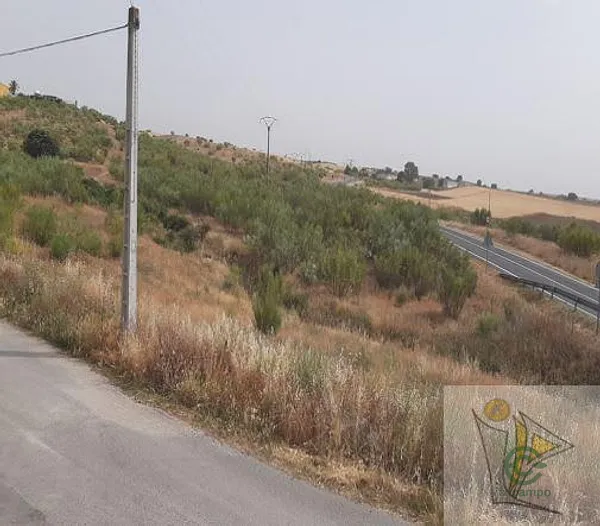 Spot image