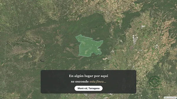 Spot image