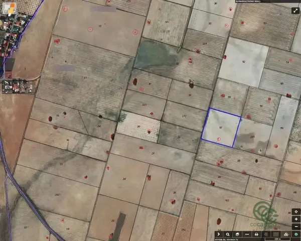 Spot image