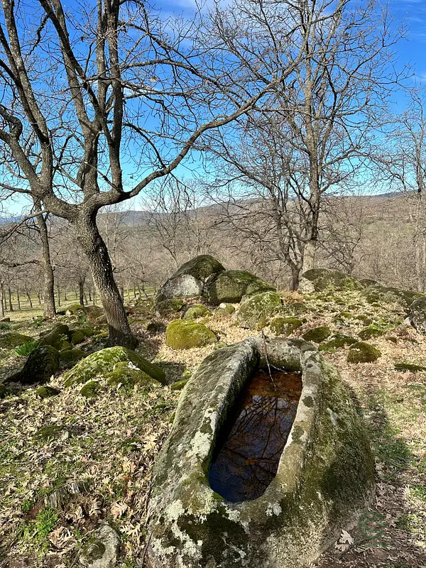 Spot image