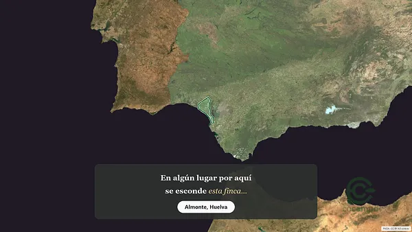 Spot image