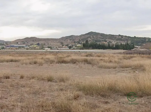 Finca rústica de 0,4555 ha en venta en Aspe pedanias, Alicante