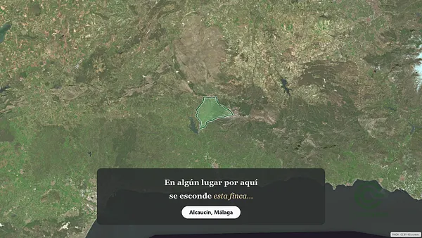 Spot image