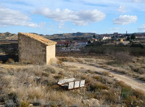 Spot image
