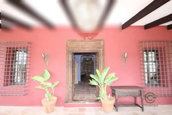 Spot image