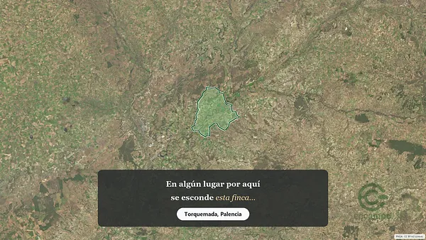Spot image