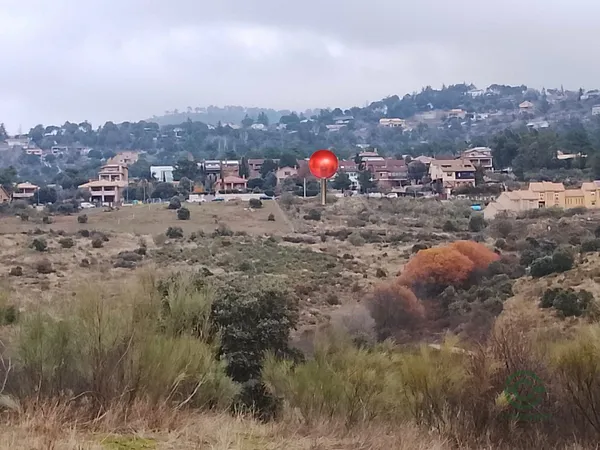 Spot image